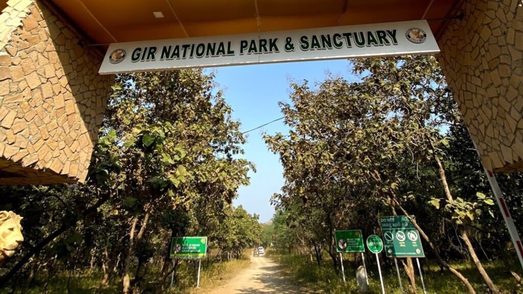 Gir National Park Gujarat