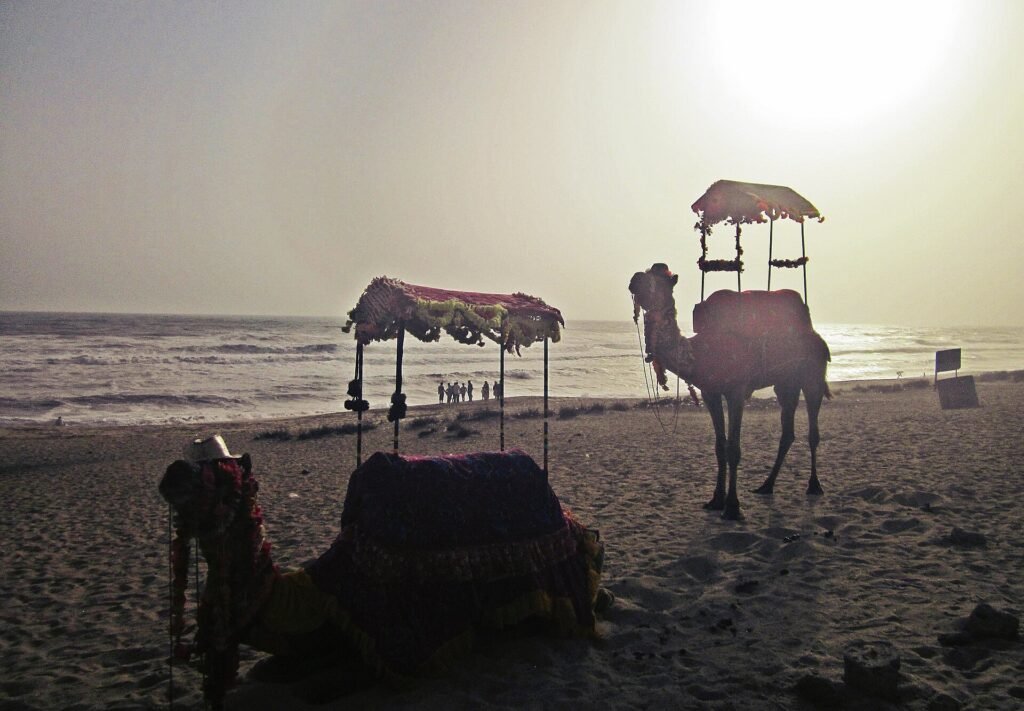 Madhavpur Beach coastline Gujarat