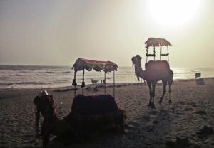 Madhavpur Beach coastline Gujarat